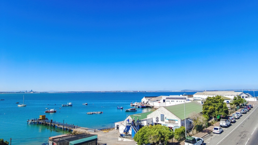 0 Bedroom Property for Sale in Saldanha Harbour Western Cape
